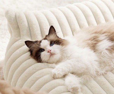 Canapé pour chat blanc crème | Cocon Orthopédique - Satisfaction Félin