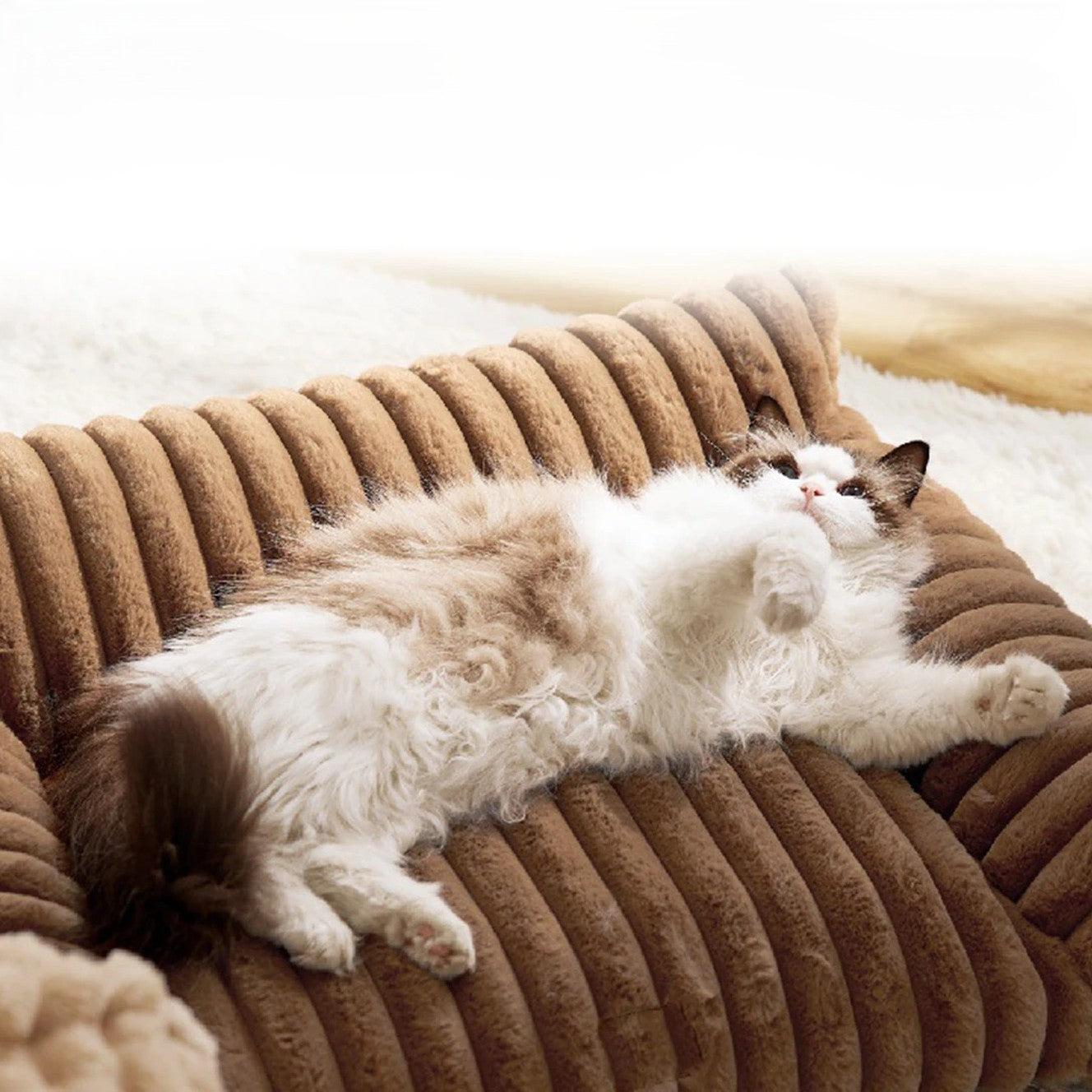 Canapé pour chat Brun chocolat épouse les courbe