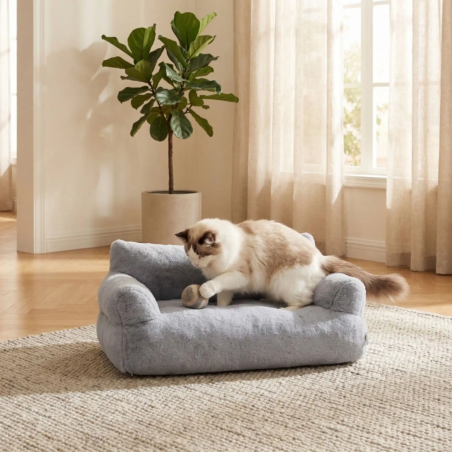 Canapé chat gris  ConfoCanap chat qui joue
