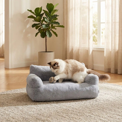 Canapé chat gris  ConfoCanap chat qui joue