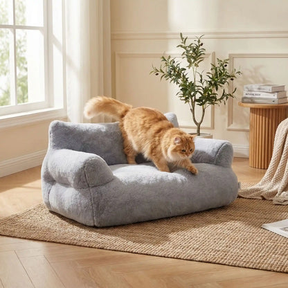 Canapé chat gris  ConfoCanap chat qui se couche