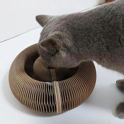 chat utilisant un griffoir pour faire ses griffes