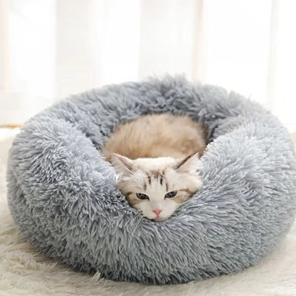 coussin à chat gris mouilleux
