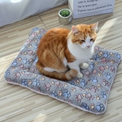 Tapis chat petite pattes