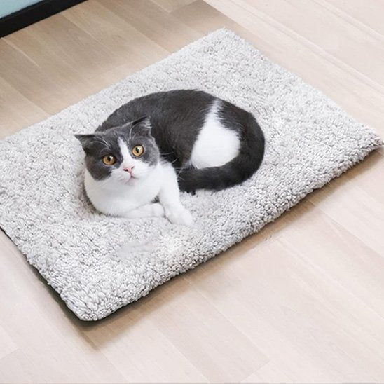 coussin à chat gris