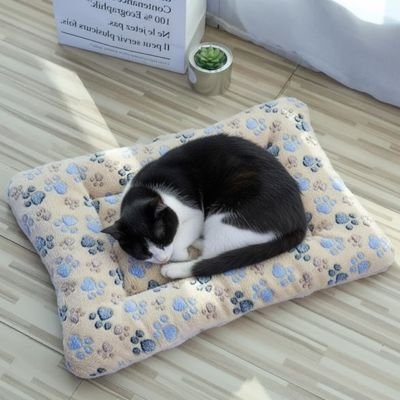 Tapis chat douillet