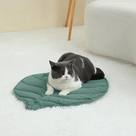 coussin chat vert