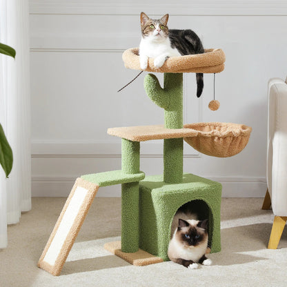 Arbre A Chat Paradisiaque