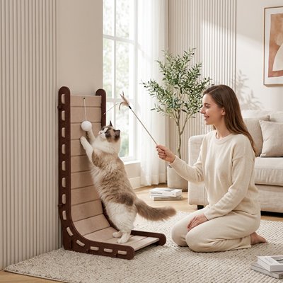 Griffoir Chat au mur