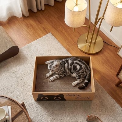 griffoir Chat carton 5 pcs de rechange