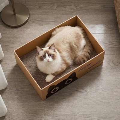 griffoir Chat carton boite