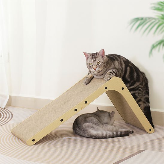 Griffoir carton chat en L