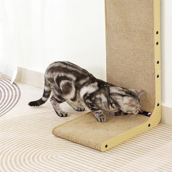 Griffoir carton chat moderne