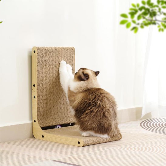 Griffoir carton chat utile