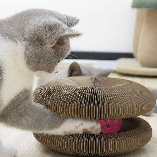griffoir pour chat pliable amusant