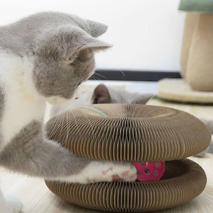 griffoir pour chat pliable amusant