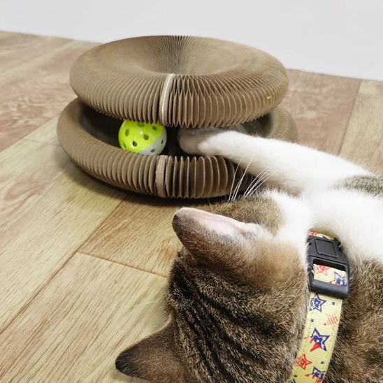 griffoir pour chat protégeant les meubles