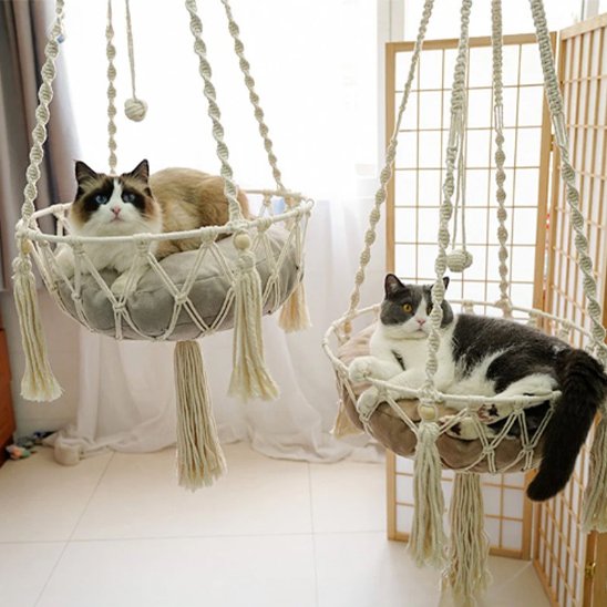 Hamac chat suspendu bonne grandeur