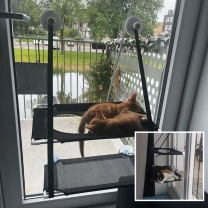 Hamac fenetre pour chat 2 etage