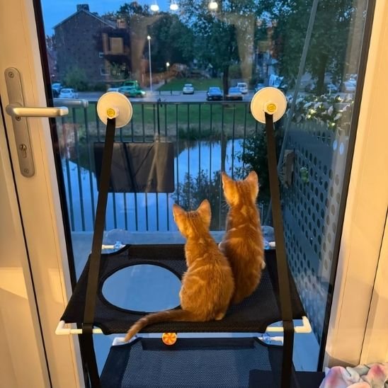 Hamac fenetre pour chat design