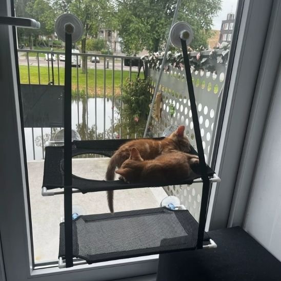 Hamac fenetre pour chat style