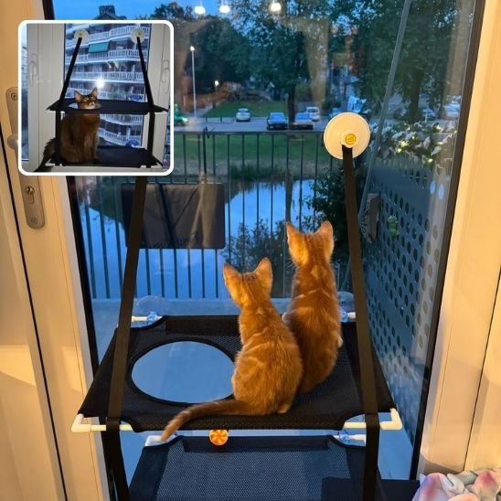 Hamac fenetre pour chat