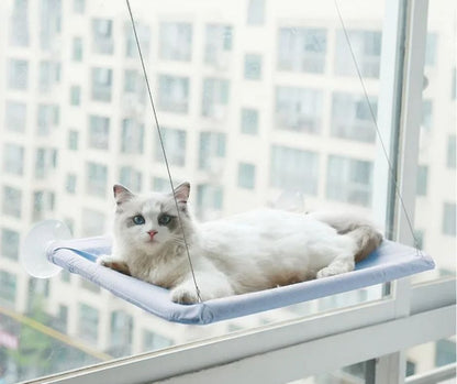Hamac pour Chat Fenetre - Satisfaction Félin