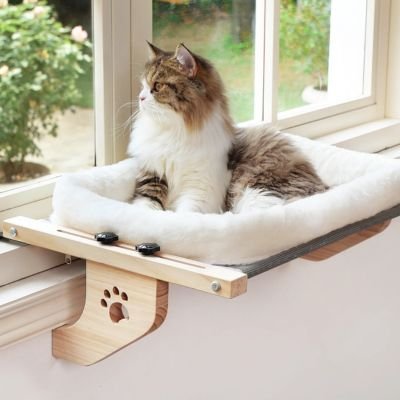 Hamac pour Chat fenetre solide