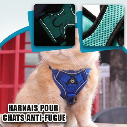Harnais pour chat - Satisfaction Félin