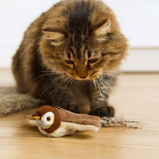 Jouet Chat interactif amusant