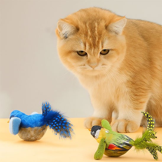 Jouet chat interactif oiseaux bleu