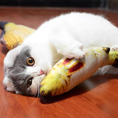Jouet chat interactif poisson carpe
