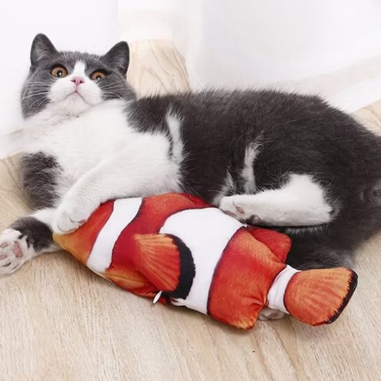 Jouet chat interactif poisson clown
