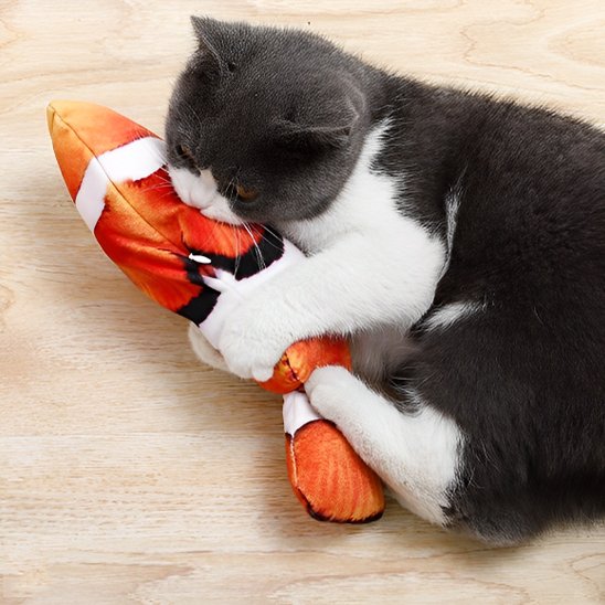 Jouet chat interactif poisson rechargeable