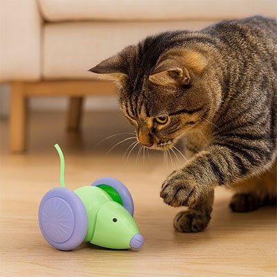 Jouet chat interactif rechargeable