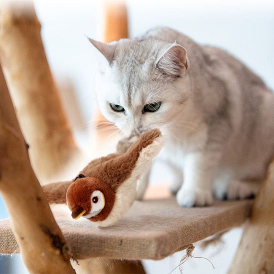 Jouet Chat interactif 