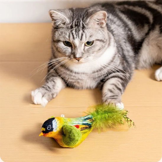 Jouet chat interactifoiseaux vert