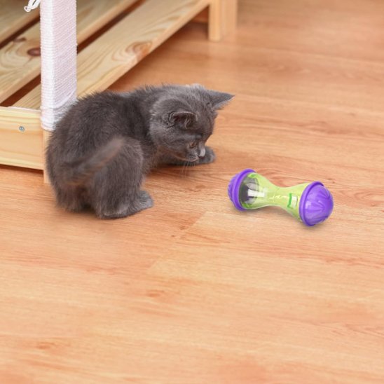 jouet croquette chat amusant