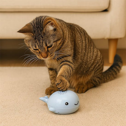 Jouet pour Chat amusant