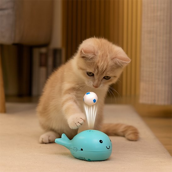 Jouet pour Chat balle