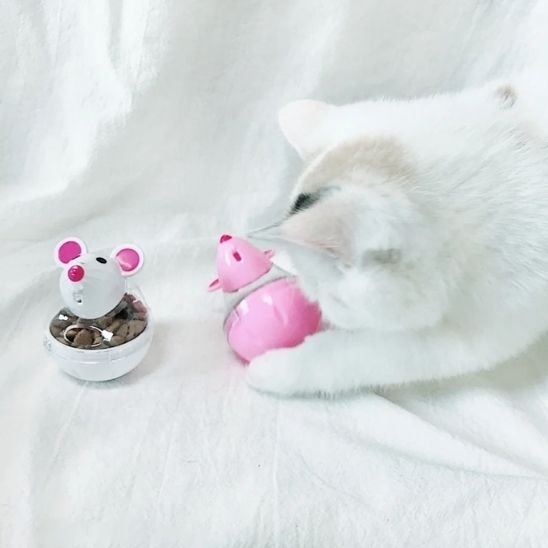 jouet pour chat distributeur de croquettes