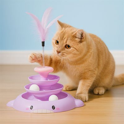 Jouet pour chat tour de jeu
