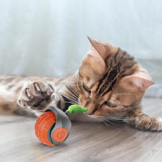 Jouets interactifs Chat imprevisible