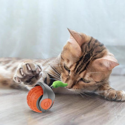 Jouets interactifs Chat imprevisible