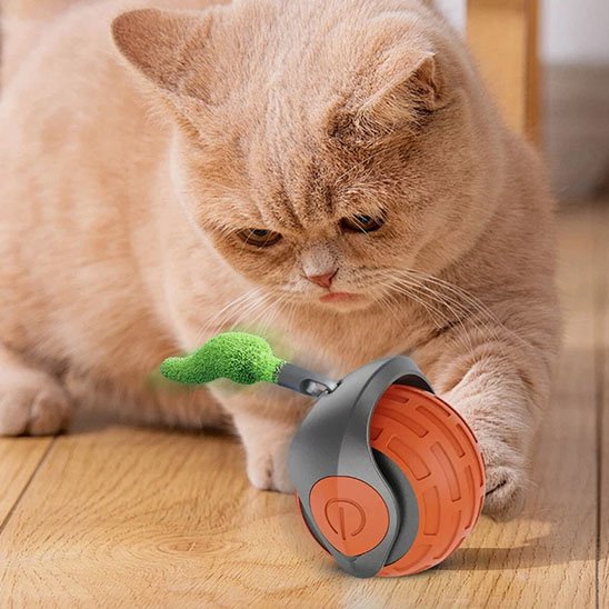 Jouets interactifs Chat orange et gris