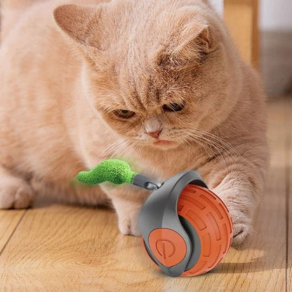 Jouets interactifs Chat orange et gris