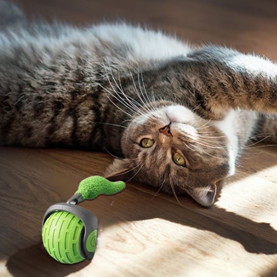 Jouets interactifs Chat rechargable