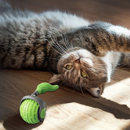 Jouets interactifs Chat rechargable