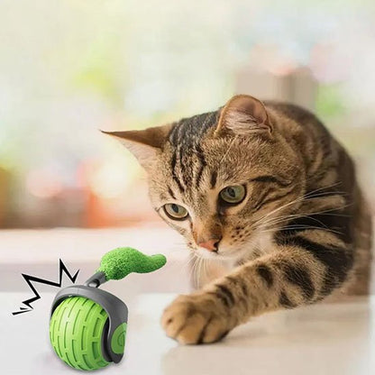 Jouets interactifs Chat vert