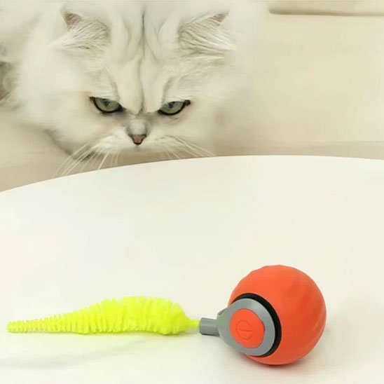 Jouets interactifs pour Chat balle rouge